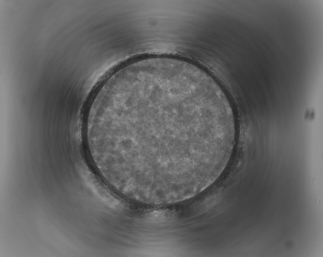 X0000111220584200907231443