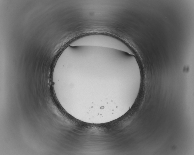 X0000111220585200907231443