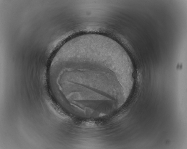 X0000111220588200907231442
