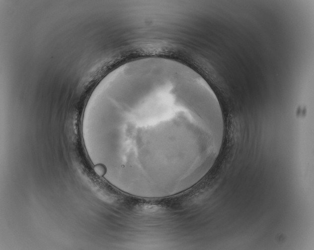 X0000111220590200907231442