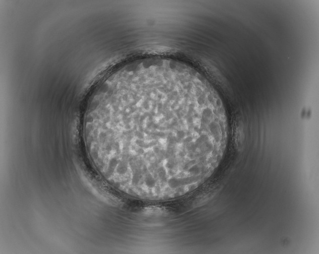 X0000111220591200907231442