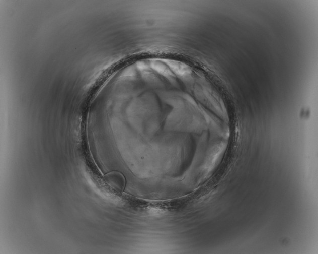 X0000111220592200907231442