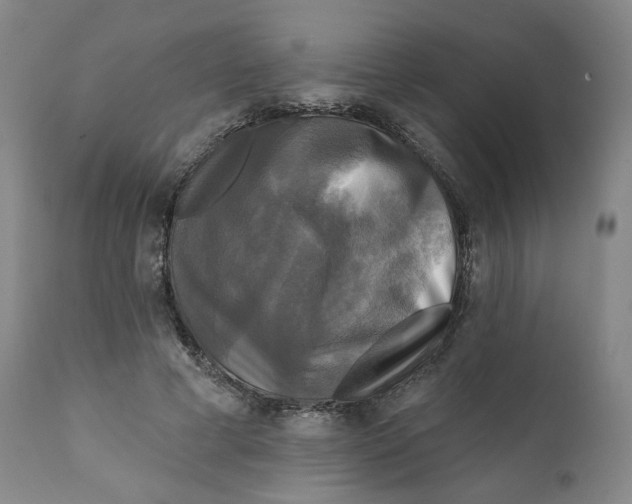 X0000111220593200907231442