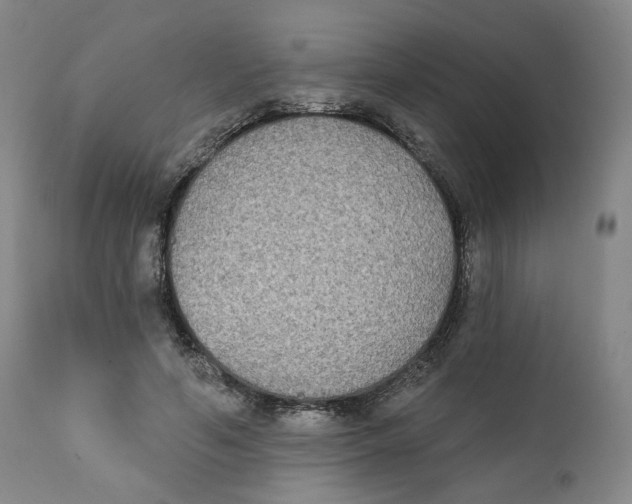 X0000111220594200907231442