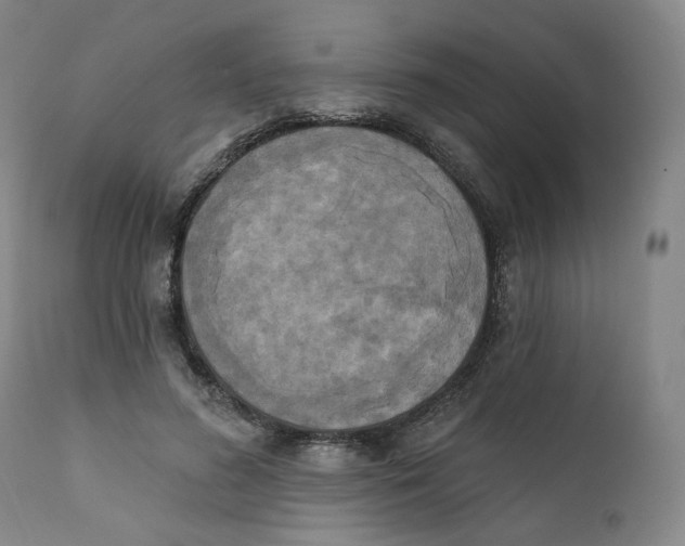 X0000111220596200907231442