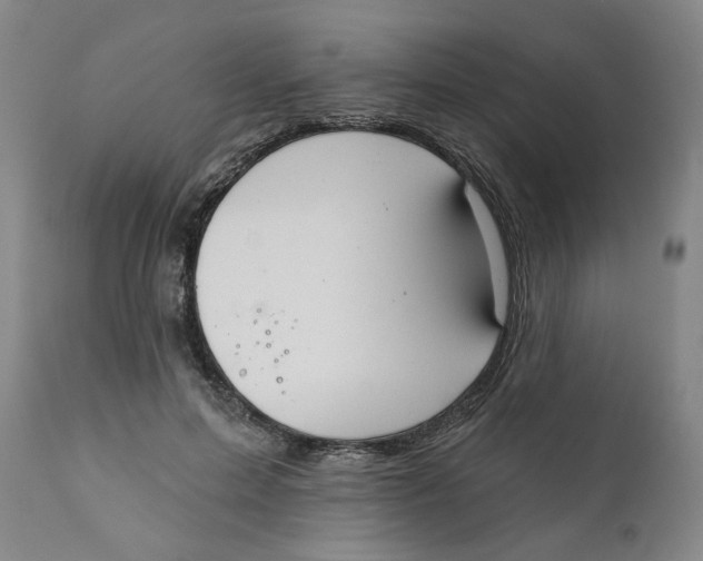 X0000111220599200907231442
