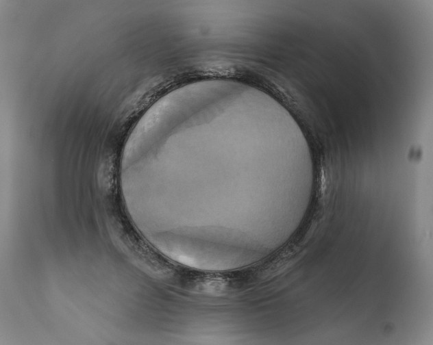 X0000111220600200907231442