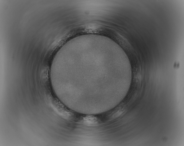 X0000111220603200907231442