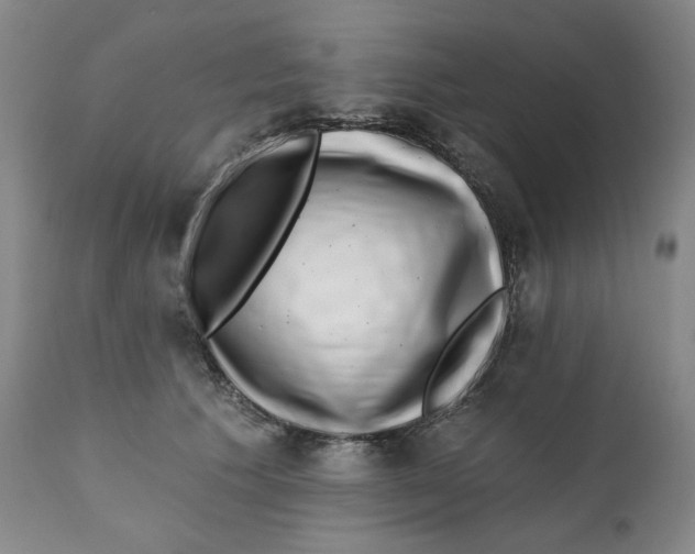 X0000111220609200907231442