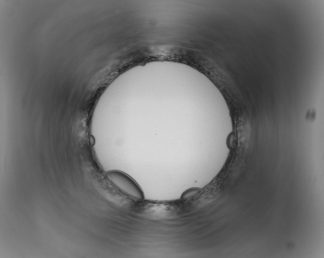 X0000111220611200907231442