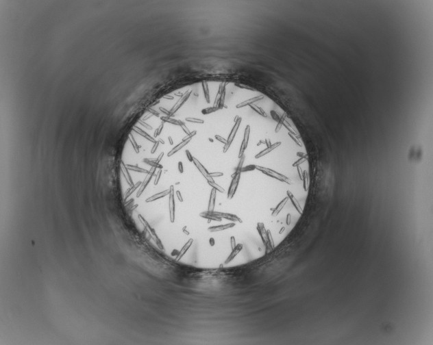 X0000111220612200907231442