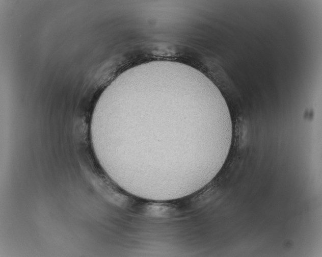 X0000111220614200907231442