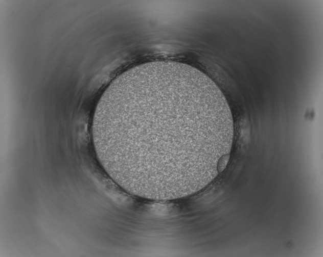 X0000111220615200907231442