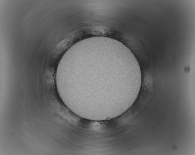 X0000111220616200907231442