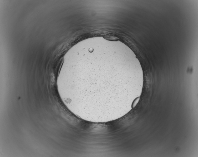 X0000111220617200907231442