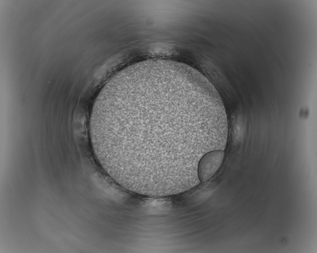 X0000111220619200907231442