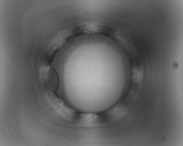 X0000111220621200907231442