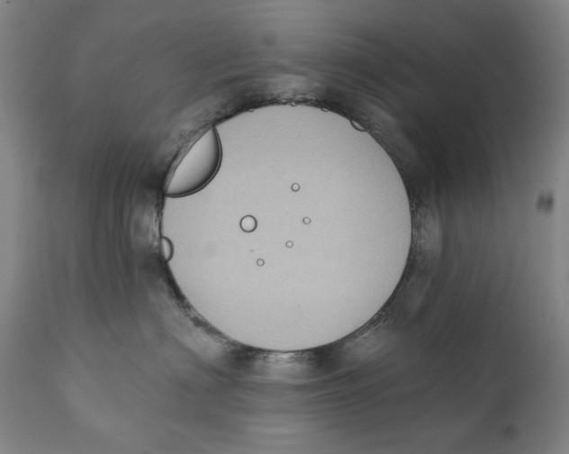 X0000111220622200907231442