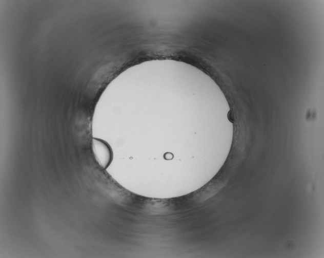 X0000111220624200907231442