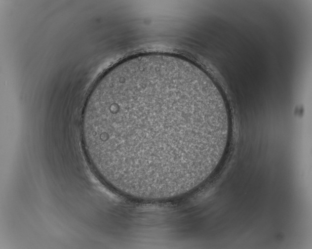 X0000111220625200907231441
