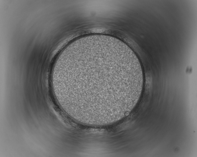 X0000111220626200907231441