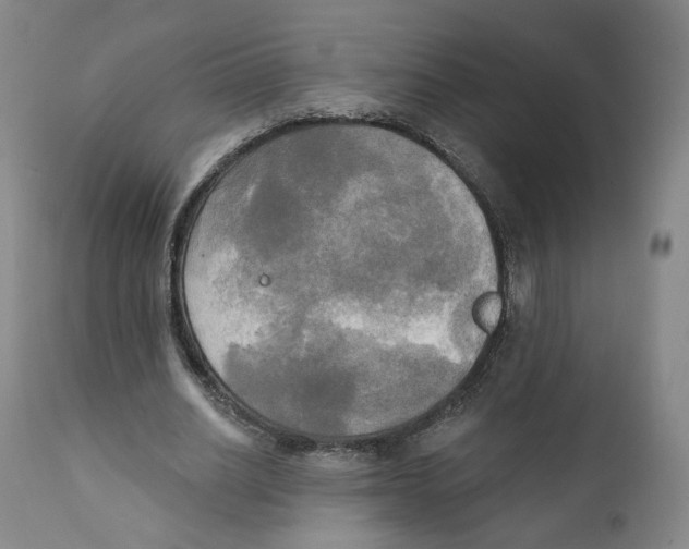 X0000111220630200907231441