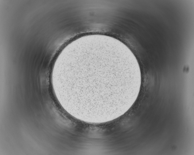 X0000111220632200907231441
