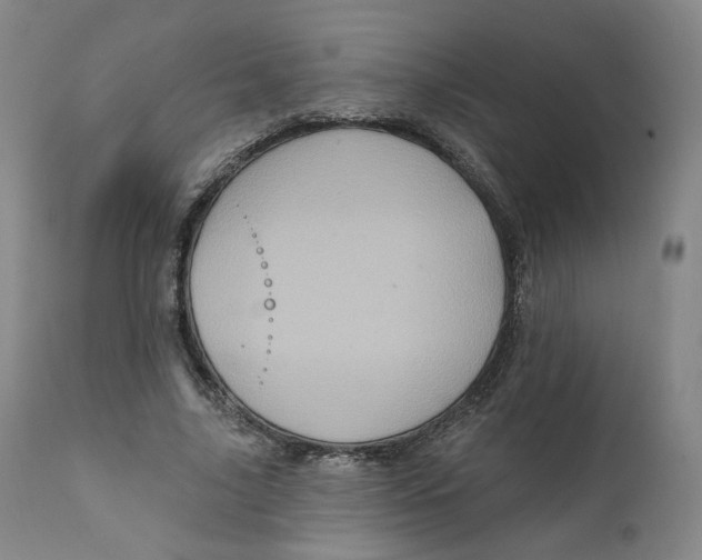 X0000111220635200907231441