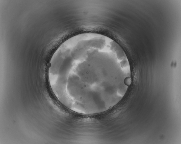 X0000111220637200907231441