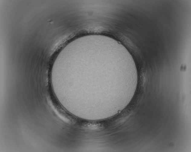 X0000111220638200907231441