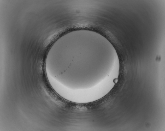 X0000111220640200907231441