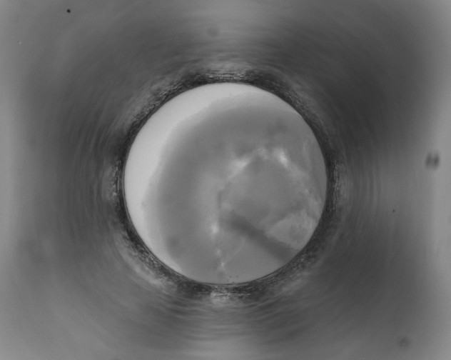 X0000111220641200907231441