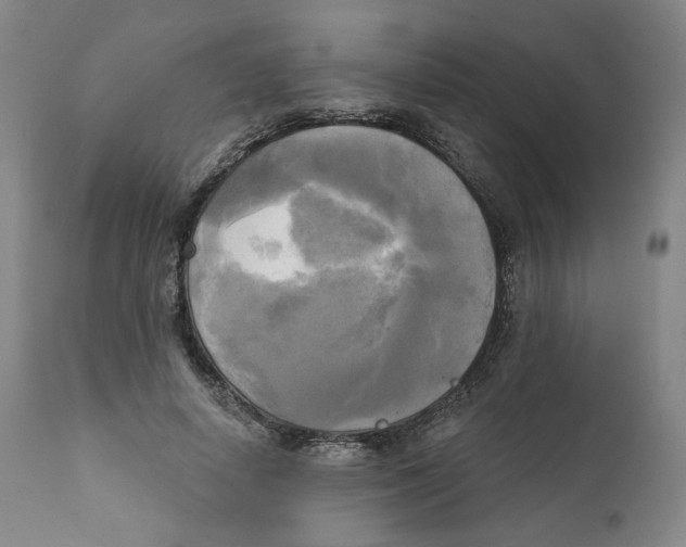 X0000111220642200907231441