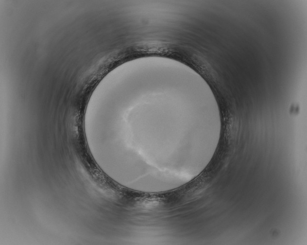 X0000111220643200907231441