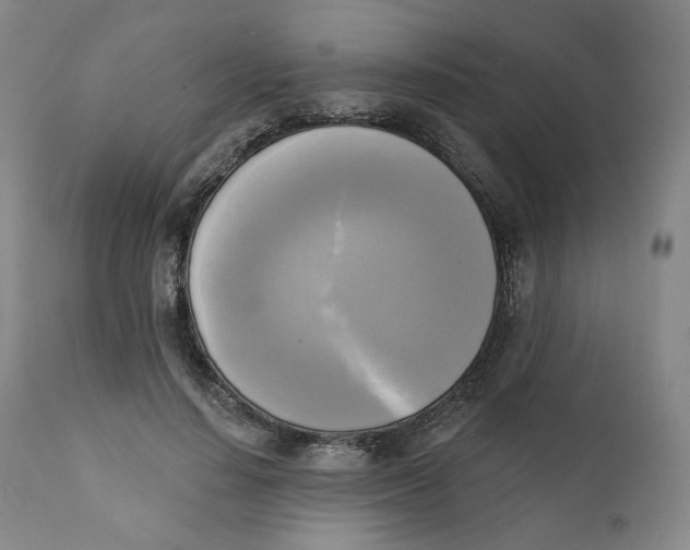 X0000111220644200907231441