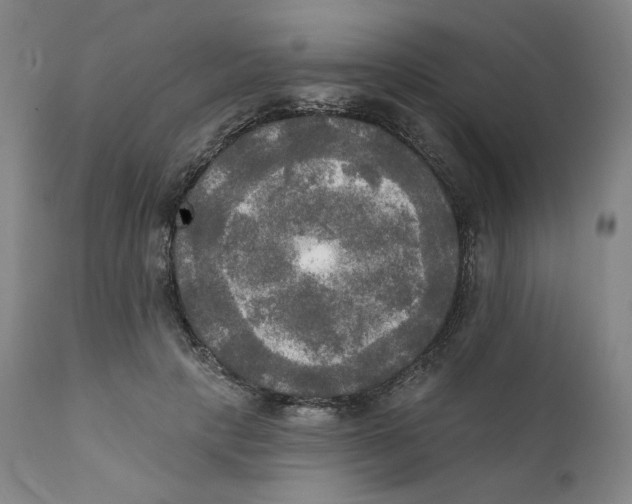 X0000111220649200907231442
