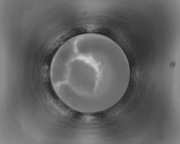 X0000111220650200907231442
