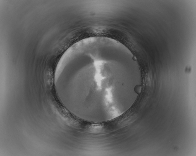 X0000111220651200907231442