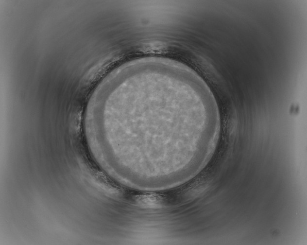 X0000111220652200907231442