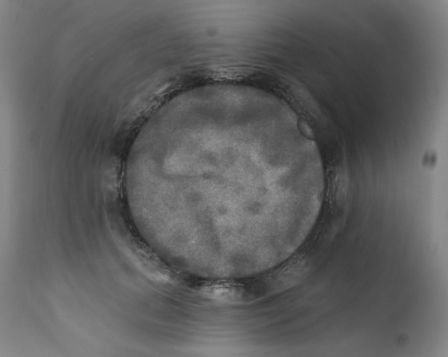 X0000111220655200907231442