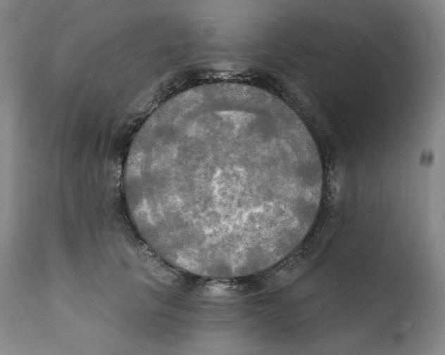 X0000111220657200907231442