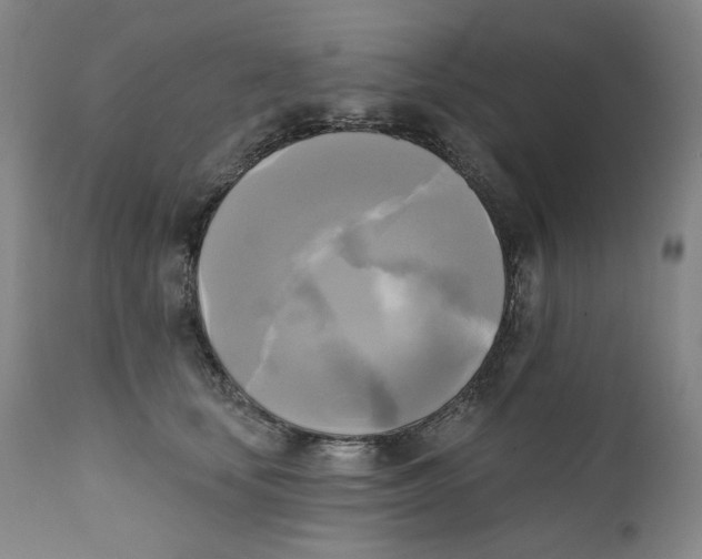 X0000111220659200907231442