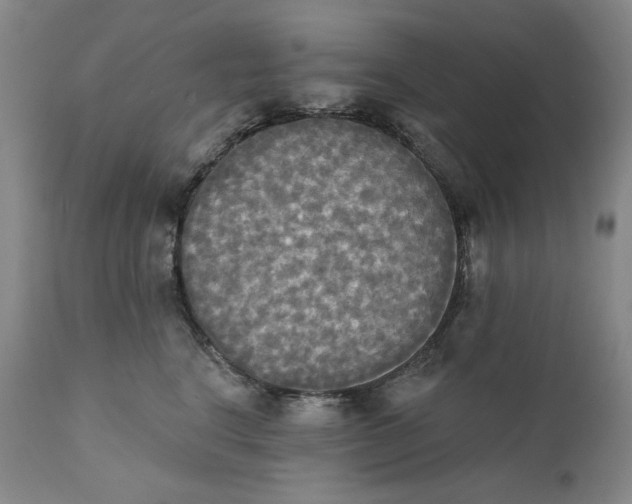 X0000111220664200907231442