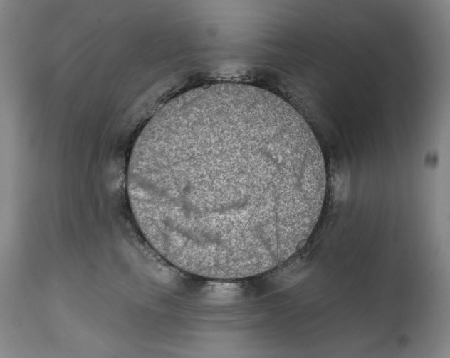 X0000111220665200907231442