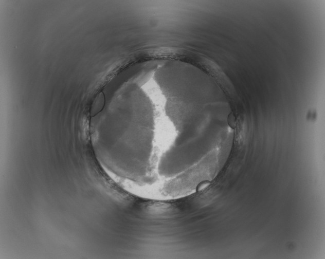 X0000111220669200907231442
