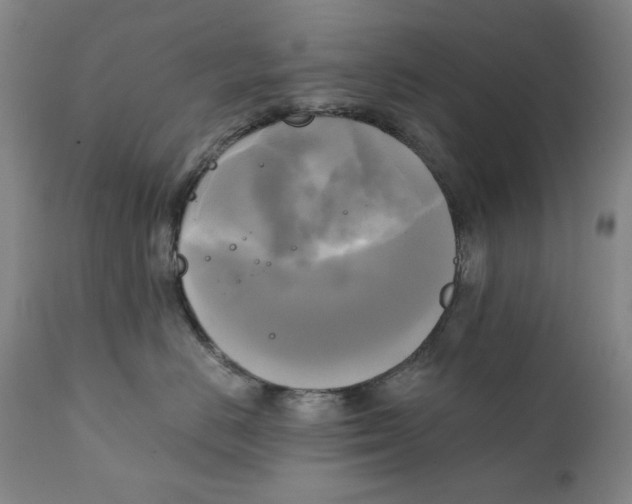 X0000111220670200907231442