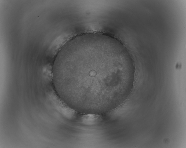 X0000111220672200907231442