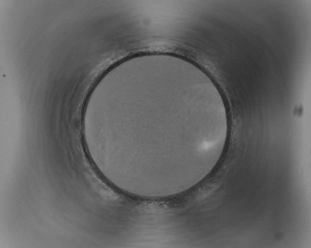 X0000111220673200907231441