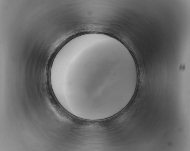 X0000111220674200907231441