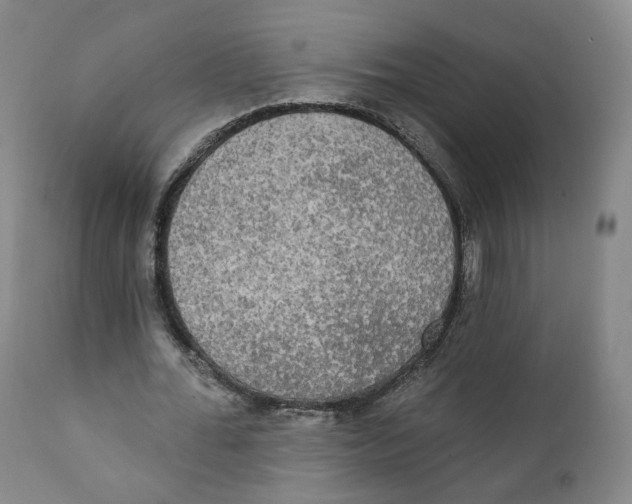 X0000111220676200907231441